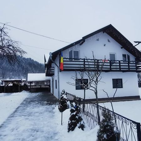 Viseu de MijlocCasa Roxana别墅 外观 照片