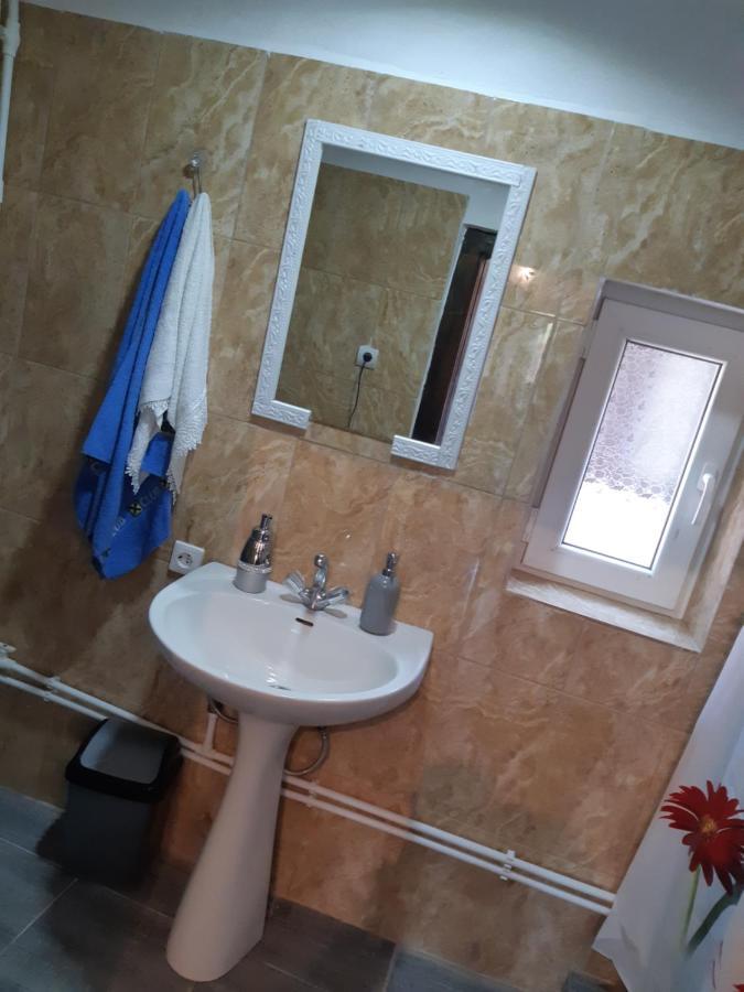 Viseu de MijlocCasa Roxana别墅 外观 照片