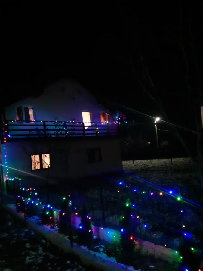 Viseu de MijlocCasa Roxana别墅 外观 照片