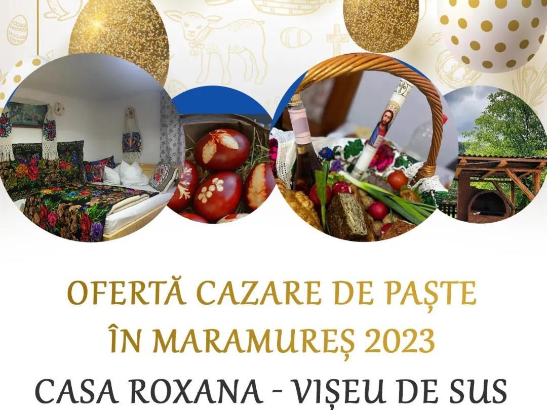 Viseu de MijlocCasa Roxana别墅 外观 照片