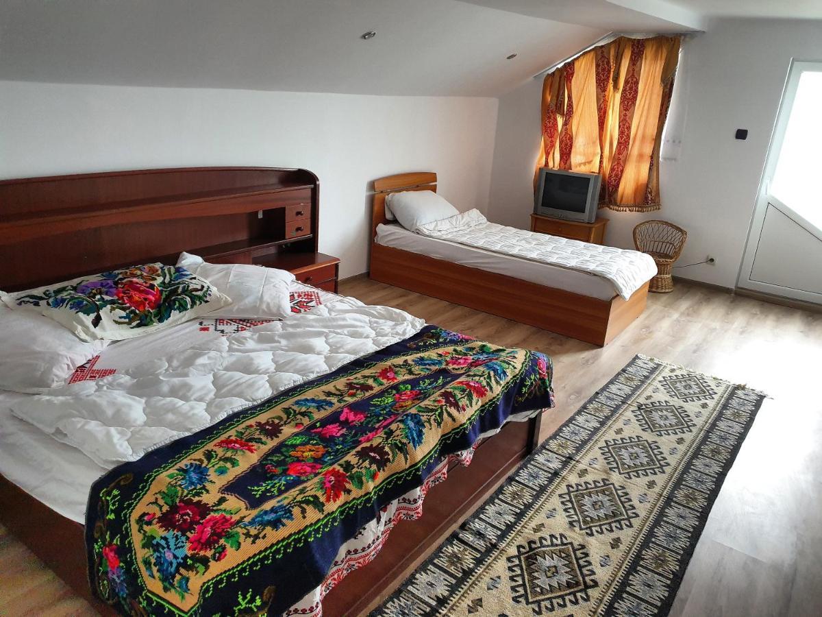 Viseu de MijlocCasa Roxana别墅 外观 照片