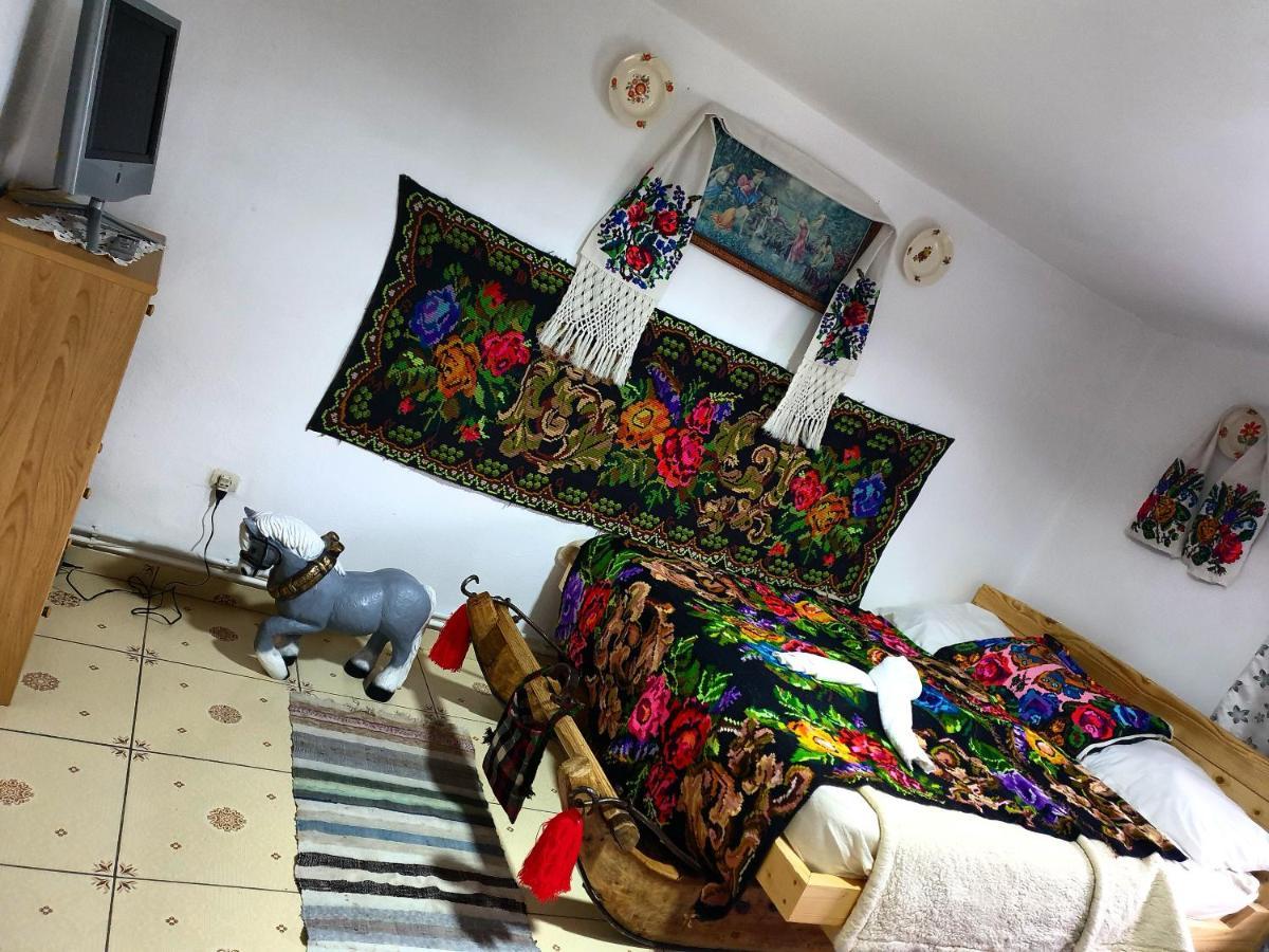Viseu de MijlocCasa Roxana别墅 外观 照片