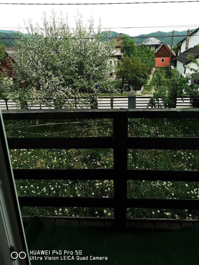 Viseu de MijlocCasa Roxana别墅 外观 照片