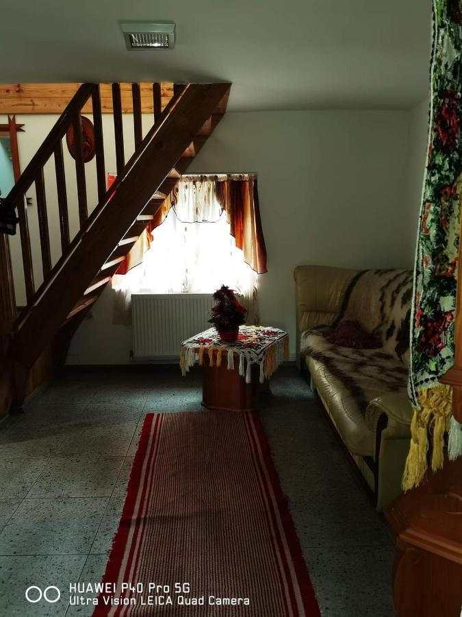 Viseu de MijlocCasa Roxana别墅 外观 照片