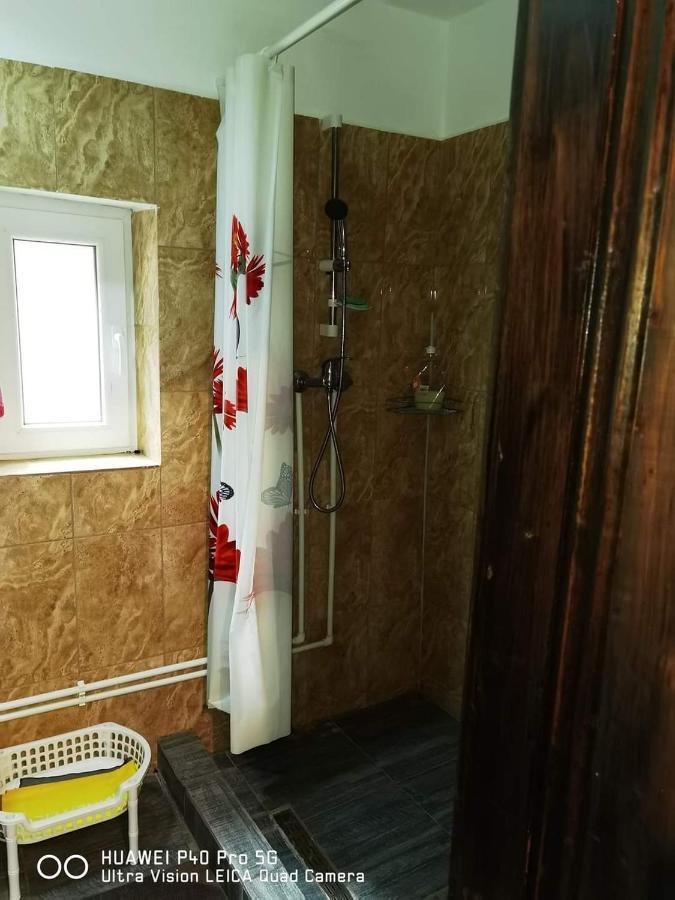 Viseu de MijlocCasa Roxana别墅 外观 照片