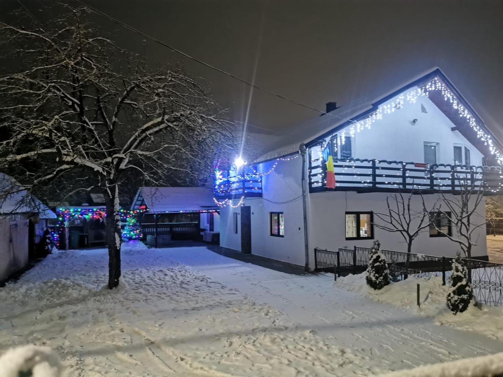 Viseu de MijlocCasa Roxana别墅 外观 照片