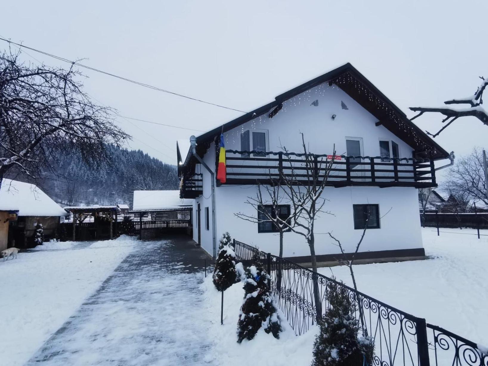 Viseu de MijlocCasa Roxana别墅 外观 照片