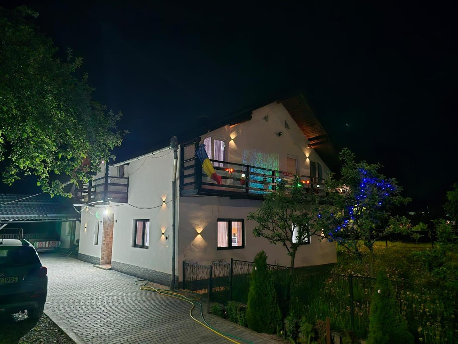 Viseu de MijlocCasa Roxana别墅 外观 照片
